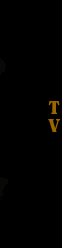 TV page